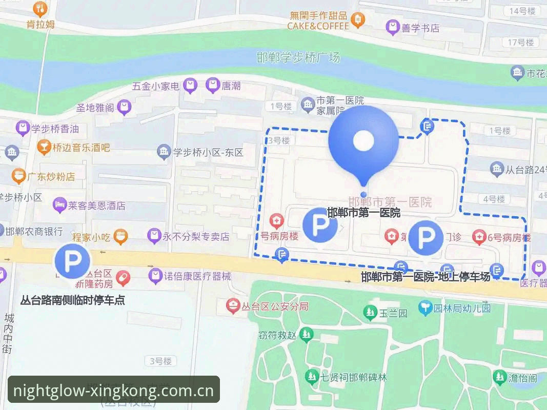 掌握星空体育动感服务的关键:从下载到实战的全流程指南